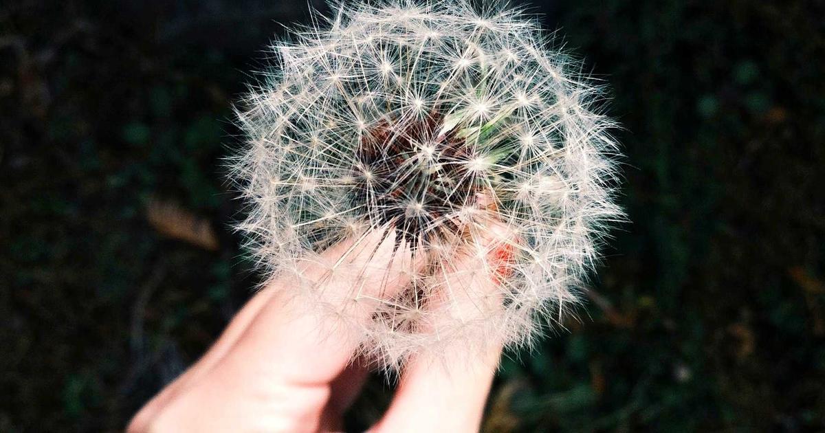 Web Sitesi Bakım ve Güncelleme: Neden Bu Kadar Kritik?